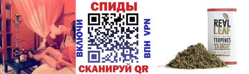 Купить  Пыть-Ях  Бутират буратино 