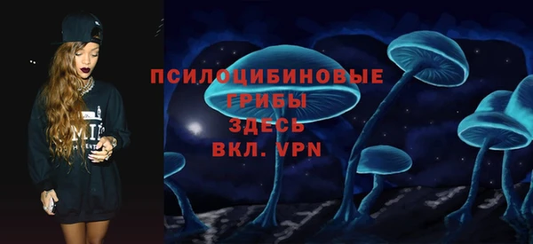 ГАЛЛЮЦИНОГЕННЫЕ ГРИБЫ Краснослободск