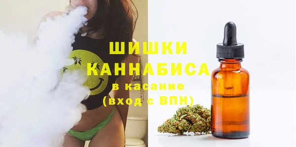 ГАЛЛЮЦИНОГЕННЫЕ ГРИБЫ Краснослободск