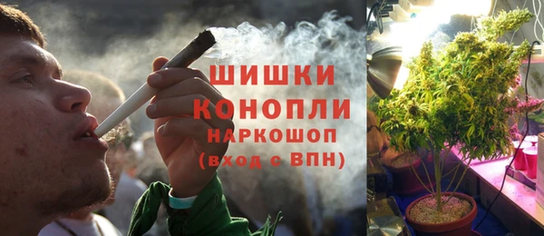ГАЛЛЮЦИНОГЕННЫЕ ГРИБЫ Краснослободск
